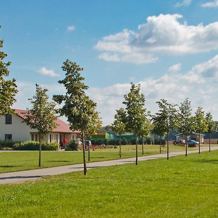 Ferienwohnung Hof Maiweg Alt Schonau Εξωτερικό φωτογραφία