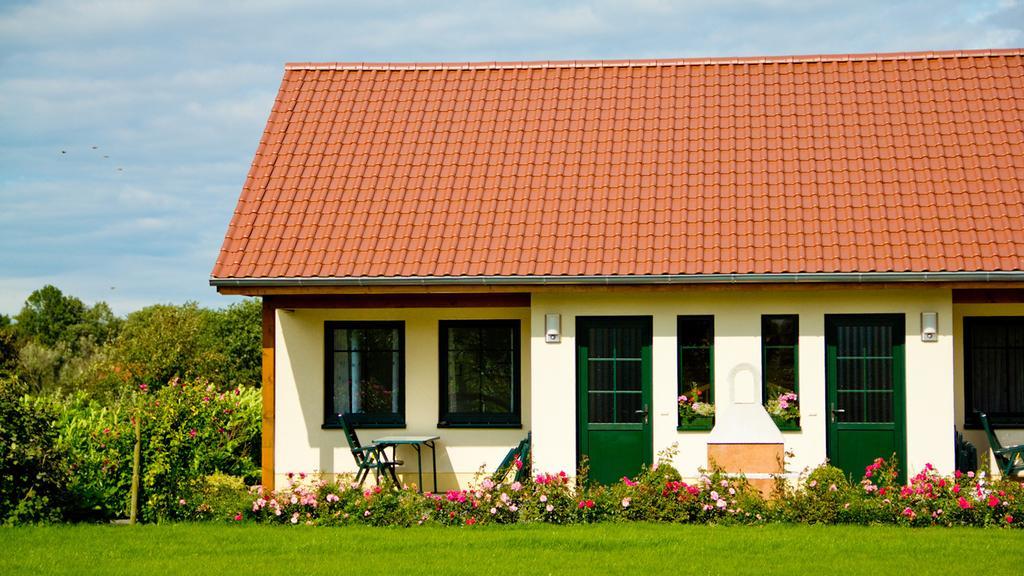 Ferienwohnung Hof Maiweg Alt Schonau Εξωτερικό φωτογραφία