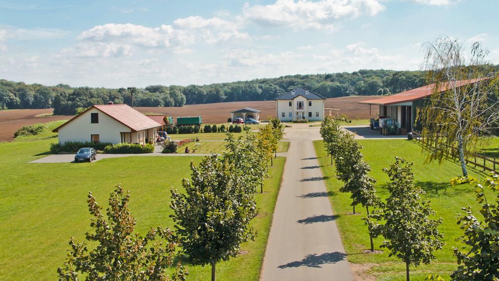 Ferienwohnung Hof Maiweg Alt Schonau Εξωτερικό φωτογραφία